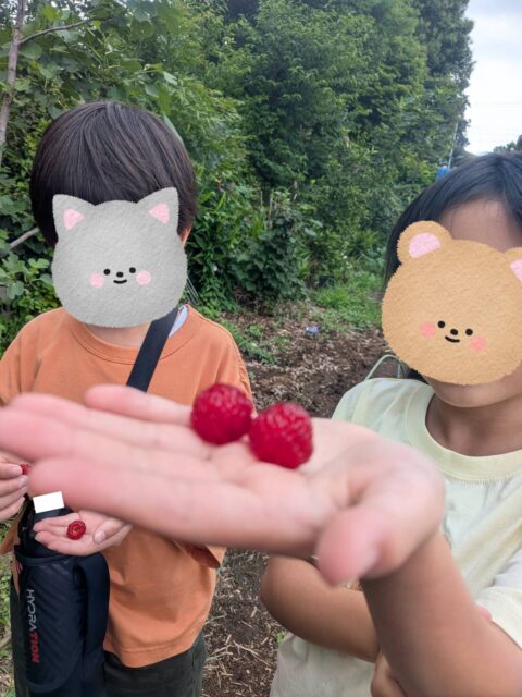 〜日常の様子〜

公園遊びや畑にラズベリーを採りを外にしに行ったり、
お友達とおもちゃで遊んだりと色々な活動をしています。
お勉強も習慣づいてきてとてもえらいですね！
無理のないレベルで頑張っています。

今年度から新しく入ってきた1年生も少しずつ生活に慣れてきており、色んなことにチャレンジしています。
お兄さん達が優しくしてあげるような姿も見られて、成長を感じますね。

#放課後等デイサービス 
#ペンギンのあしあと
#日常